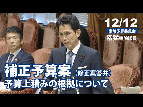 12月12日衆議院予算委員会答弁　階猛衆院議員・ネクスト財務金融大臣