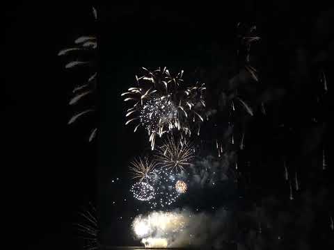 Firework Finale by Pyrovision | British Firework Championships 2023