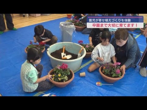 こども園の園児がチューリップの球根やシクラメンを使って寄せ植えづくりを体験　静岡・伊豆市