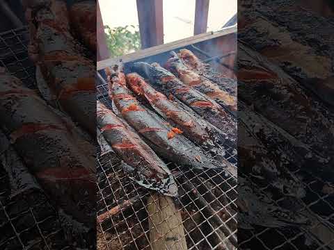 ikan keli bakar😍