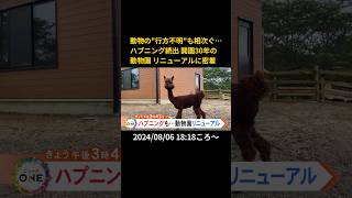 ⬆️本編はリンクから⬆️動物の"行方不明"も相次ぐ…ハプニング続出 開園30年の動物園 リニューアルに密着