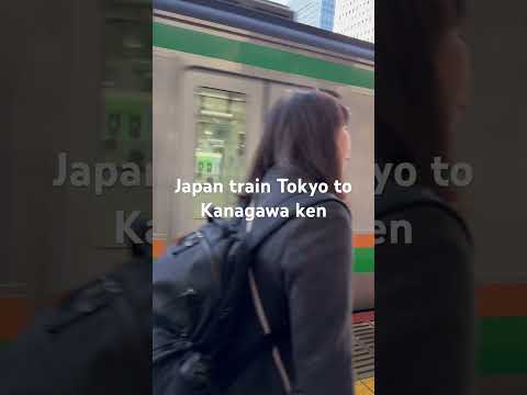 Japan train , Tokyo to Kanagawa ken