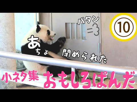 小ネタ集🐾おもしろぱんだ⑩