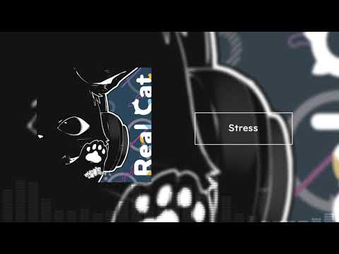 Stress (instrumental)／nyankobrq