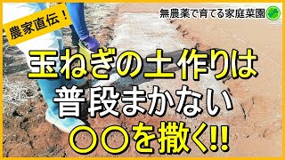 【玉ねぎ栽培】土作りではアレを入れると成功率がアップします！【有機農家直伝！無農薬で育てる家庭菜園】　23/9/7