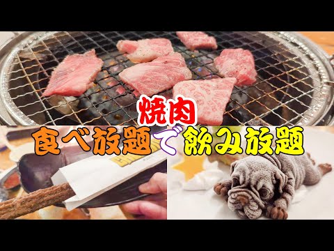 焼肉太郎で食べ放題　飲み放題　#愛知県 #グルメ #焼肉 #食べ放題 #美味しい #高級 #安価 #岐阜 #三重 #ビール