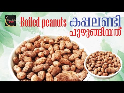 കപ്പലണ്ടി പുഴുങ്ങിയത് 😋//Kappalandipuzhugiyathu /Boiled peanuts