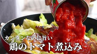 プロの料理人が教える【鶏肉とキャベツのトマト煮込み】