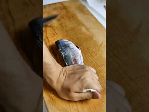 アジの三枚おろしも簡単！  Fillet Horse mackerel.