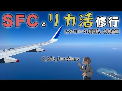 滞在時間30分☆SFC修行とリカ活（どっちも初心者）