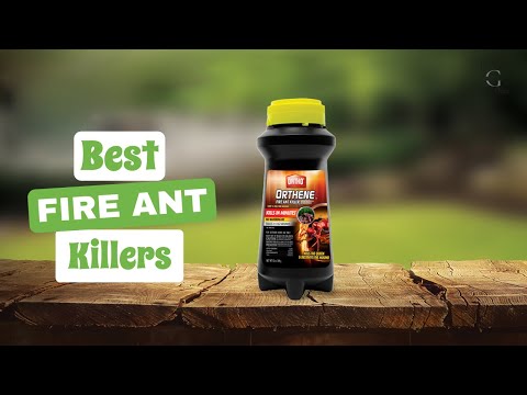 Best Fire Ant Killers: Eliminate the Sting of Fire Ant Infestations! | The Guardians Choice