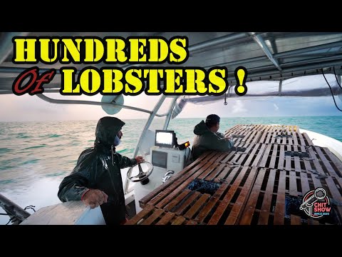 Lobstering in Sketchy Conditions ! Hundreds of Lobsters on Opening Day !