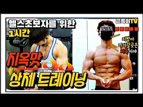 헬스장이 처음이신 분들을 위한 상체 완벽루틴 정리(운동초보자분과 헬스 초보 헬린이들을 위해)