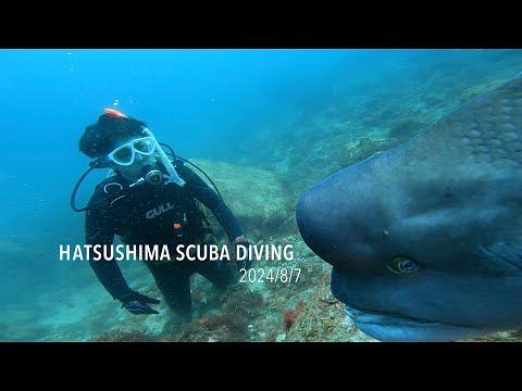 【伊豆ダイビング】なんか来た！初島ビーチで水中散歩ダイビング 熱海市