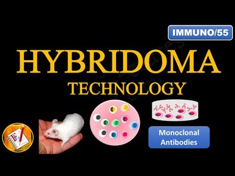 Hybridoma Technology: Production of Monoclonal Antibodies (FL-Immuno/55)