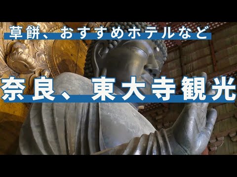 奈良の大仏のスケール大きすぎ！　奈良駅周辺のお店も紹介　/東大寺/大仏/中谷堂/ろくや/スーパーホテルJR奈良駅前