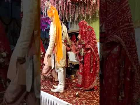 congratulations Govind sa & setu baisa #marriagevideo #Gujarat #whatsapp_status #happymarriedlife