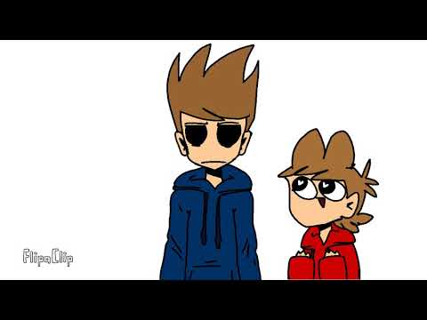 Annoying pigeon-meme (TomTord)