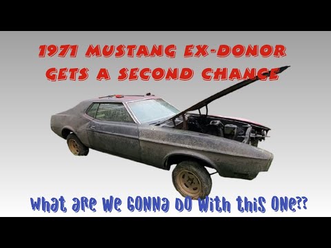 1971 Mustang Coupe Ex-Donor Car Renewed