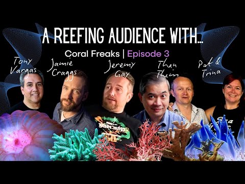 A Reefing Audience With... | Coral Freaks 2024 | Episode 3 - Reefy Questions & Answers