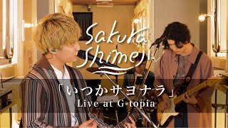 Sakurashimeji「いつかサヨナラ」Live at G-topia