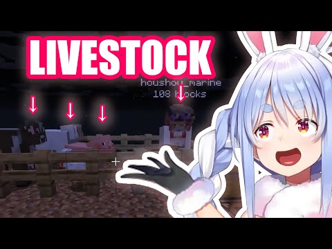 Marine Becomes the Boss of Livestock After Getting "TrApPeD" in the Barn【Hololive Eng Sub】