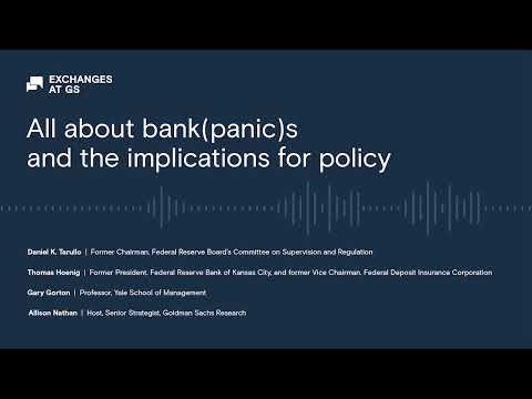 All about bank(panic)s and the implications for policy