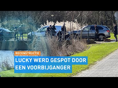 Voortvluchtige Lucky gearresteerd in Schiedam | Hart van Nederland