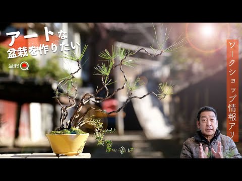 I want to break down stereotypes and create artistic bonsai. [Bonsai Q]