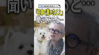 意外！外国人が驚くニッポンの光景 「デパ地下」や「終電」など町や空港など外国人に「日本に来て驚いたこと」を聞いてみると意外な回答が続々｜TBS NEWS DIG #shorts