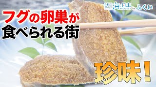 高浜に昔から伝わる魚のぬか漬けで猛毒フグの卵巣が珍味に！ 日本財団 海と日本PROJECT in ふくい 2021 #10