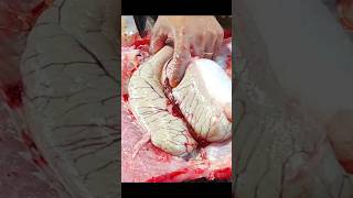 Amazing Rohu Fish Cutting Skills In Bangladesh Fish Market Part-6 #shorts