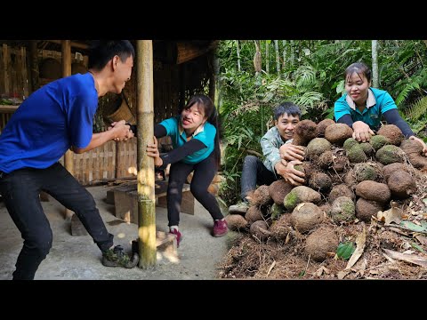 What I Learned From Harvesting Wild Brown Roots for 1 Day || Linh's Life