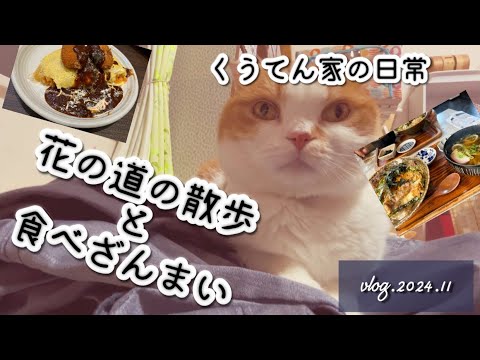 【散歩】兵庫県宝塚市花の道散歩/40代主婦/南大阪おススメランチ/猫との暮らし