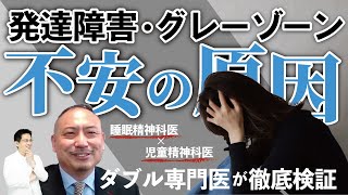 【生きづらい】発達障害・グレーゾーンはなぜいつも不安なのか？ | 発達障害 | 不安 | うつ