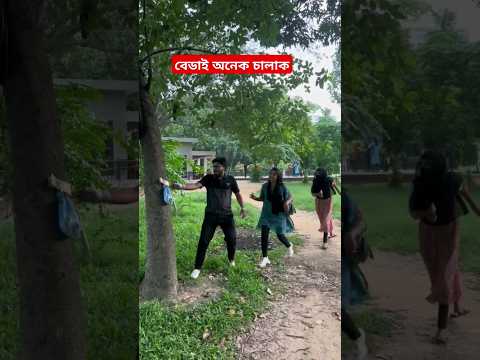 বেডাই অনেক চালাক #funny #viralvideo #short