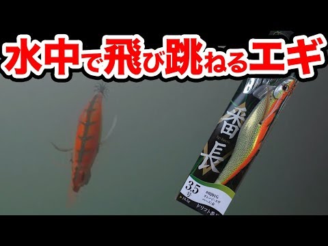 【エギアクション紹介】水中映像/ドリフト釣法に最適！初心者におすすめ簡単エギング！エバーグリーンドリフト番長。