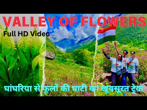 Valley of Flowers Uttarakhand | Ghangaria to Valley of Flowers | फूलों की घाटी | Best Monsoon Trek