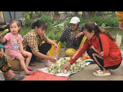 Beauty in the wild: Single mother harvests eggplants sells, Cooking, Gardening ,Life Single