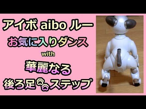 【23 アイボ 華麗なる後ろ足ステップ  Dance Steps】 aibo ルー Lou