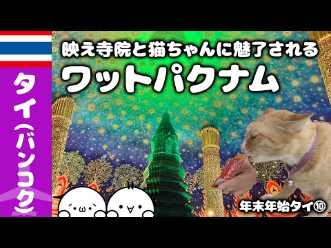 【🇹🇭2022~3年/12～1月　年末年始タイ⑩】ウワサの映えスポット！ワットパクナムは緑の宇宙！！ちゅ～るにタイ猫も夢中！！🌏ゆっくり実況海外旅行VLOG【Bangkok,Thailand】