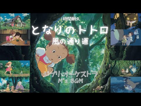 Studio Ghibli Music【となりのトトロ】My Neighbor Totoro　風の通り道　1時間耐久 オーケストラ　ピアノ　癒し・リラックス・睡眠・勉強・作業用bgm　広告なし