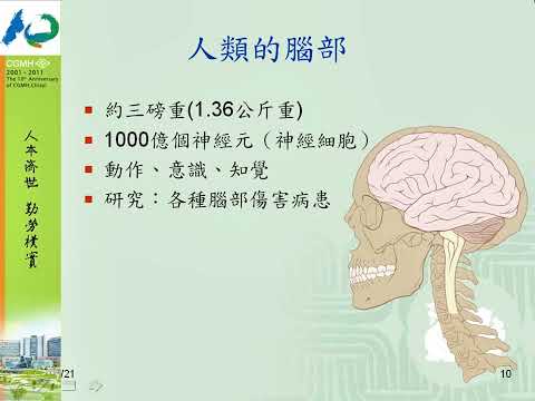 運動改造大腦