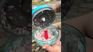 Camping Cooking Riverside Masala Egg Bhurji #camping #campingcooking #forestcamping #food #ytshorts