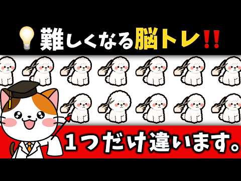 🦴🐕【全問できたら凄い！】脳トレ★最後に超難問も！可愛い犬のイラストや数字、漢字を使った脳トレに挑戦！1つだけ違うのは？【犬・わんちゃん編】