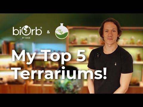 biOrb - Worcester Terrariums - Top 5 Must See Terrariums!