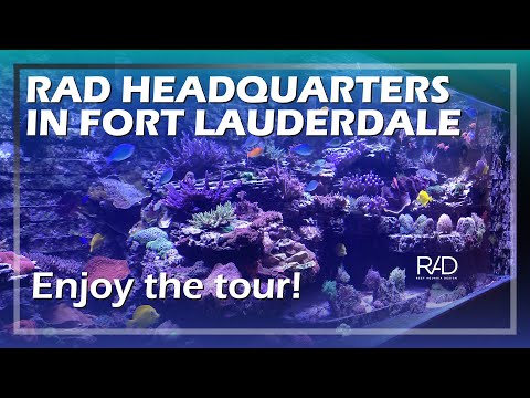 ENJOY A TOUR THROUGH THE REEF AQUARIA DESIGN FACILITIES IN FORT LAUDERDALE, FLORIDA.