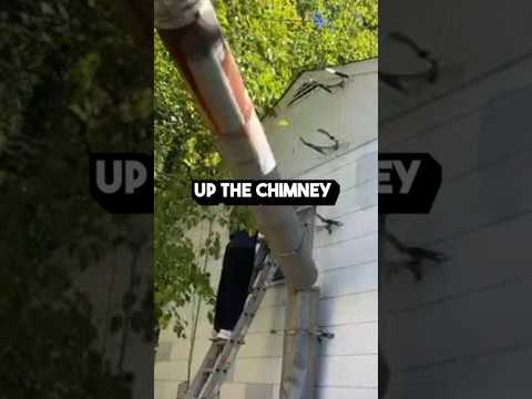 How to Remove a Chimney - DIY