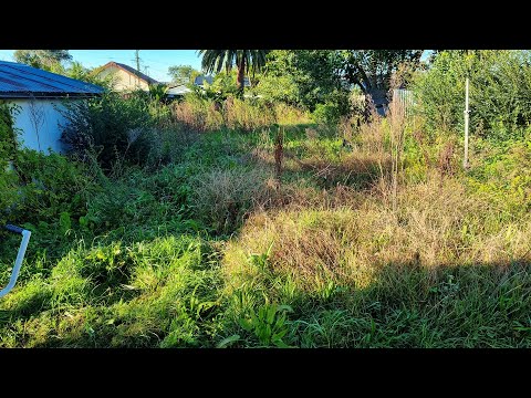 DISTRAUGHT 90 Year Old Lady DESPERATELY Needed Her OVERGROWN Lawn Mowed To AVOID EVICTION