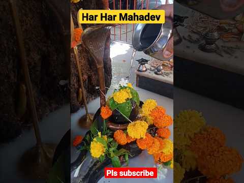 Har Har Mahadev #harharmahadev #shankar #shorts #shortsfeed #ytshorts #shiv #youtubeshorts #bhajan